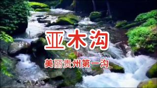 经开区市政着力提升市政设施精细化养护水平